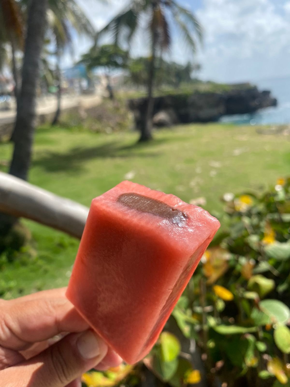 Paleta de Fresa Rellena de Nutella